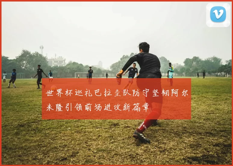 世界杯巡礼巴拉圭队防守坚韧阿尔米隆引领前场进攻新篇章